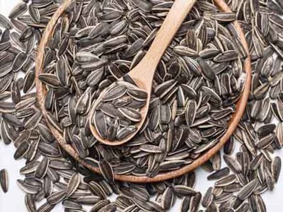江蘇五香瓜子代理-高性價(jià)五香瓜子哪里有賣